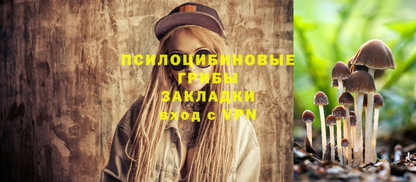 дмт Липки