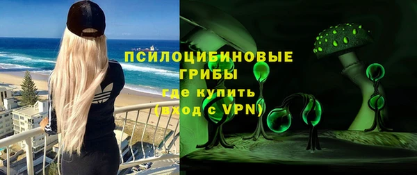 дмт Липки