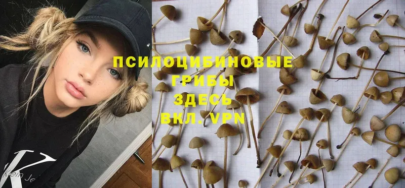 Галлюциногенные грибы Magic Shrooms Емва