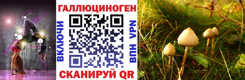 купить   Емва  Псилоцибиновые грибы Psilocybe 